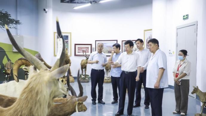 图片11.jpg 图片11.jpg